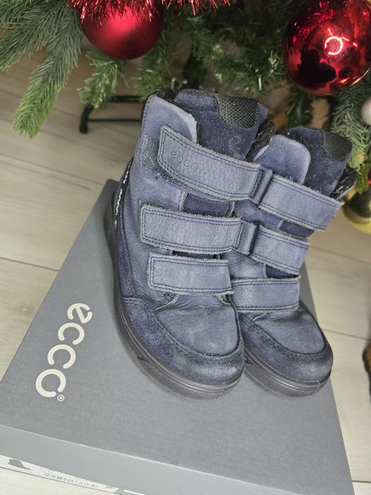 Дитячий сапожки  Ecco  30розмір