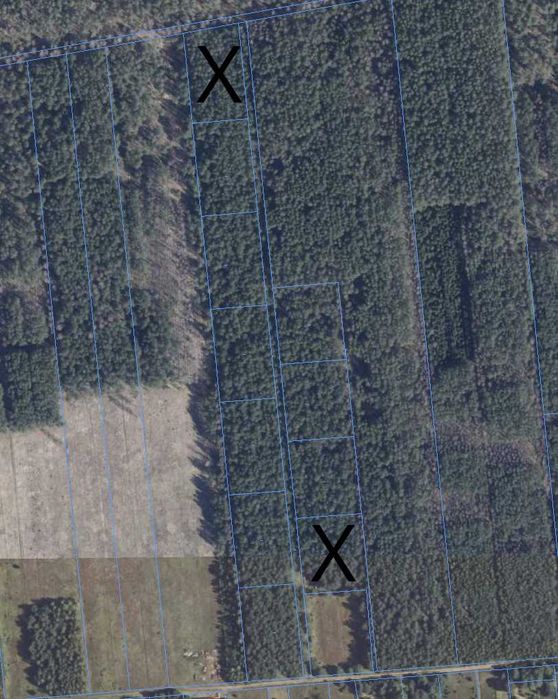 Sprzedam działkę 3000 m2 w kompleksie działek leśnych.
