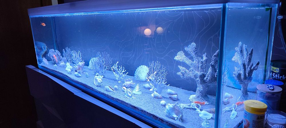 Aquário muito grande 1.50m com filtro