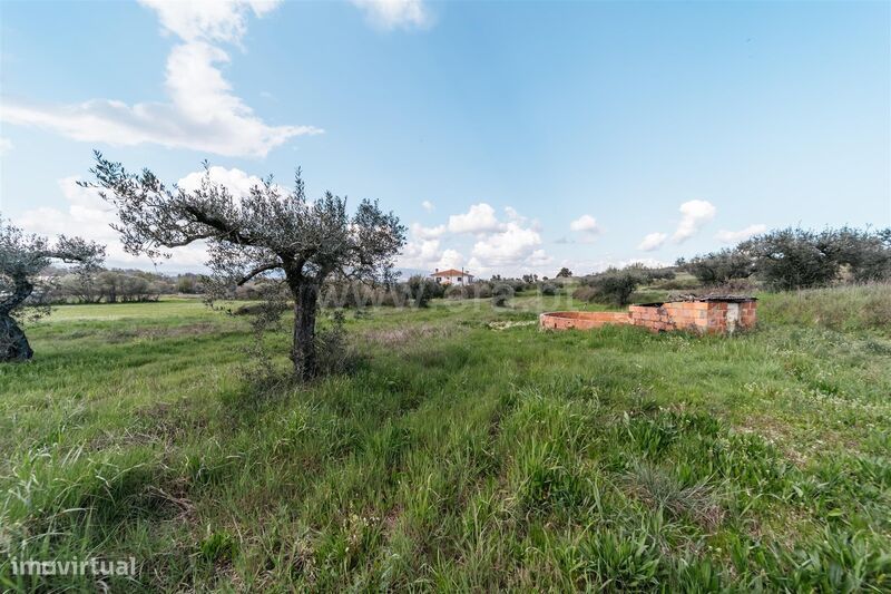 Terreno Rústico / Fundão, Aldeia Nova