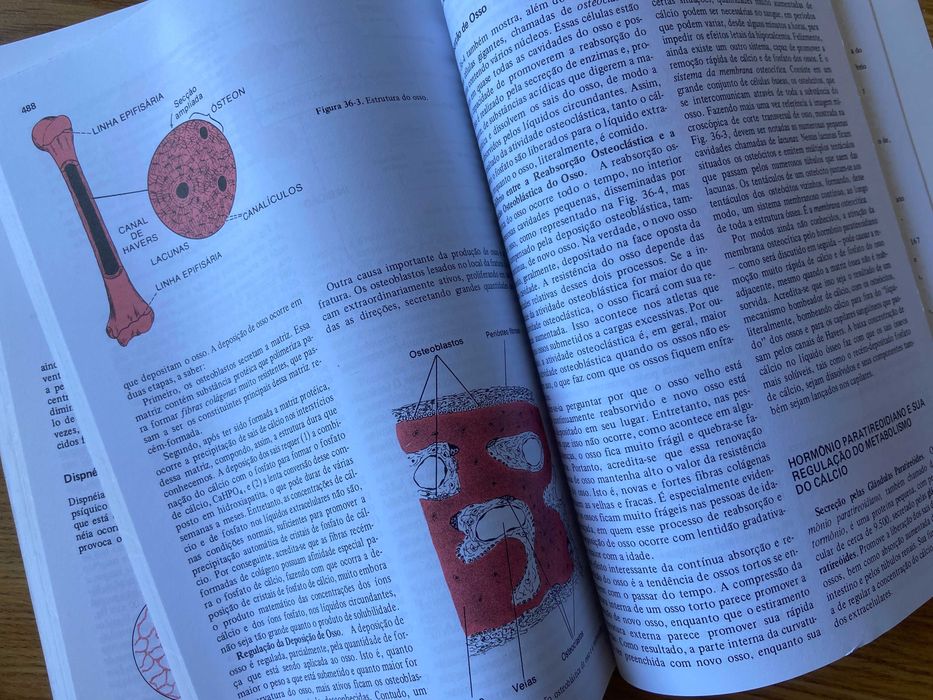 "FISIOLOGIA HUMANA" Guyton (6ª Edição)