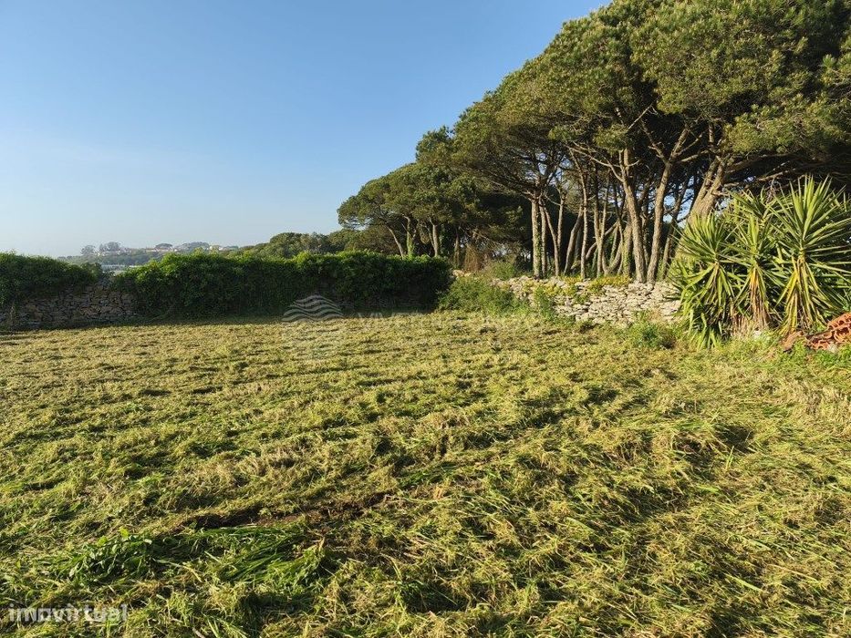 Terreno Rústico com 1.280 m² em Zona Tranquila e de Fácil Acesso