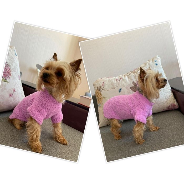 Вязаная одежда для кошек и собак, одежда для сфинксов)