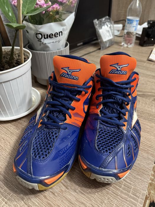 Волейбольні кросівки Mizuno