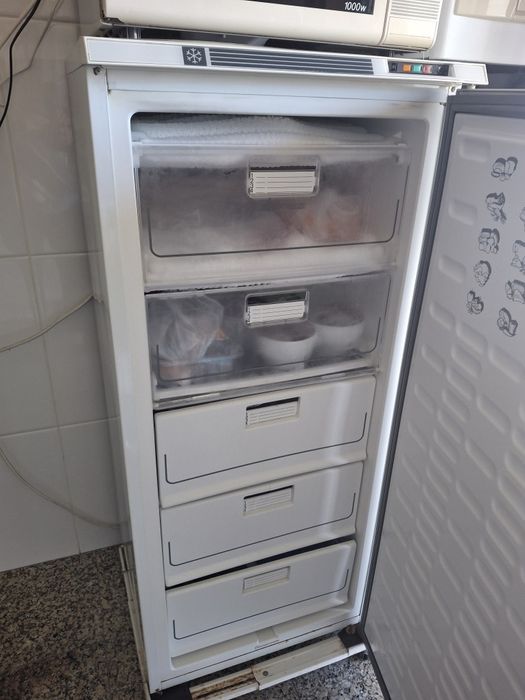 Arca congelador com 5 gavetas