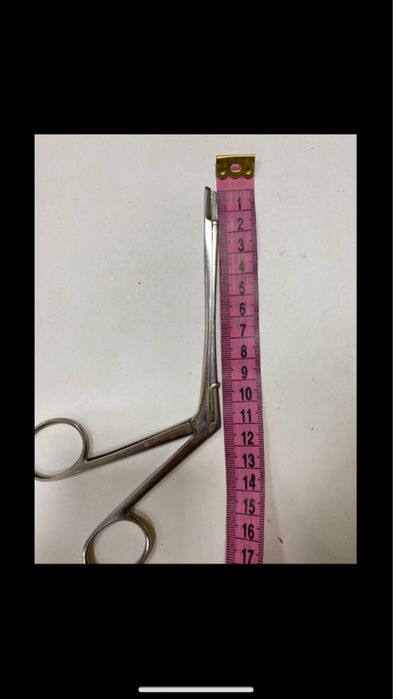 Конхотом із щілинним отвором по Struycken