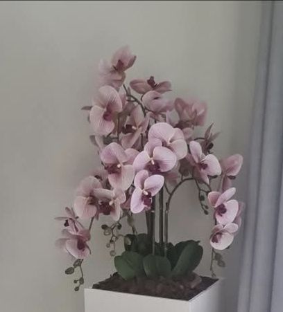 Plantas artificiais e semi artificiais
