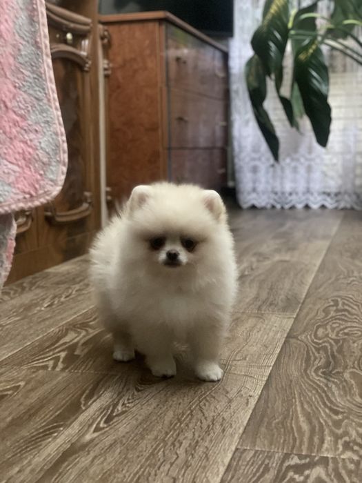 Маленький антидепрессант