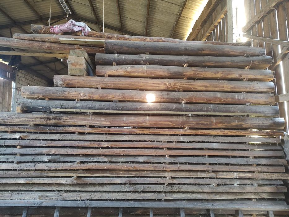 Drzewo bale sosna grubość 6 i 14 cm