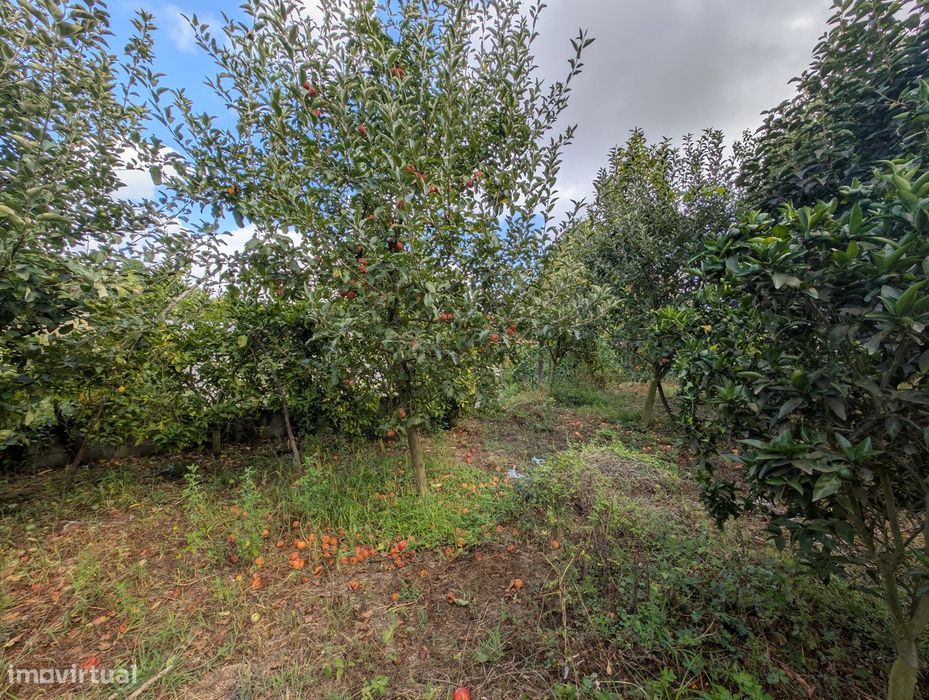 Terreno Misto em Vilaça – 1.100 m²