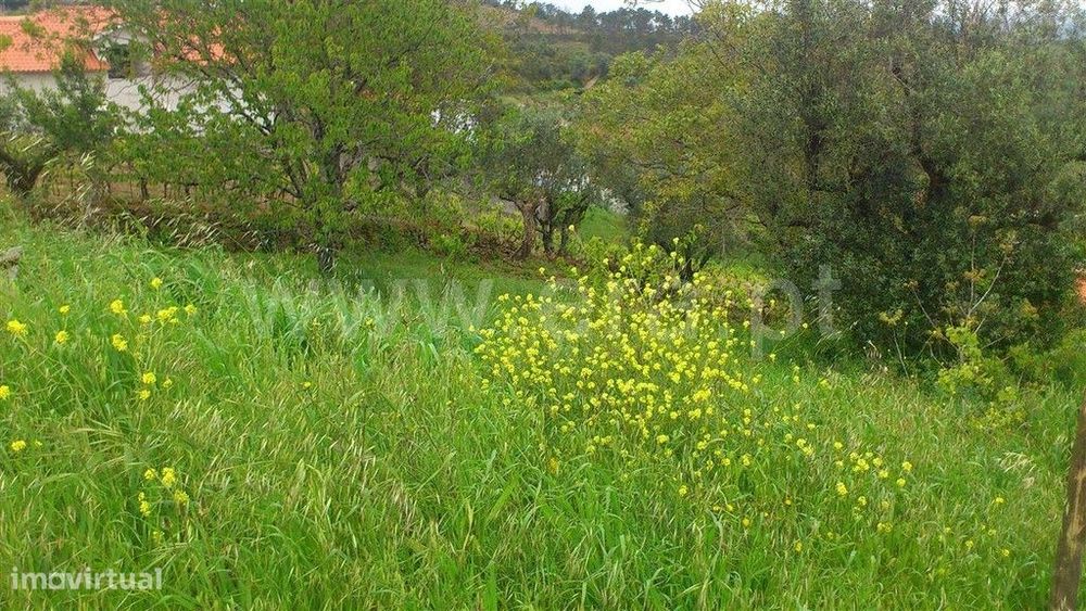Plot, Coimbra, Almalaguês