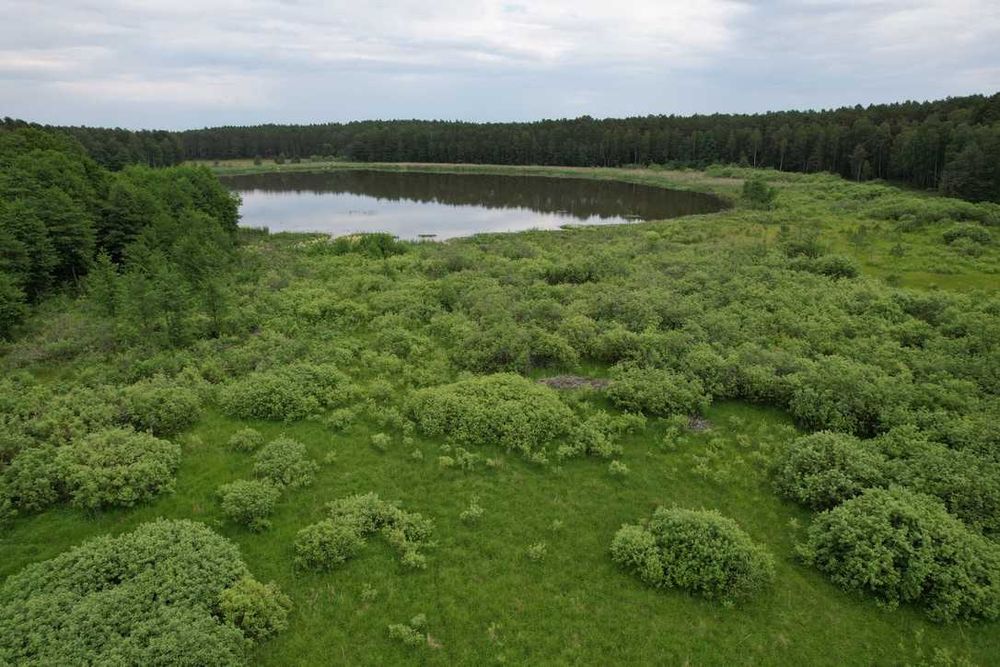 Zdjęcie 3