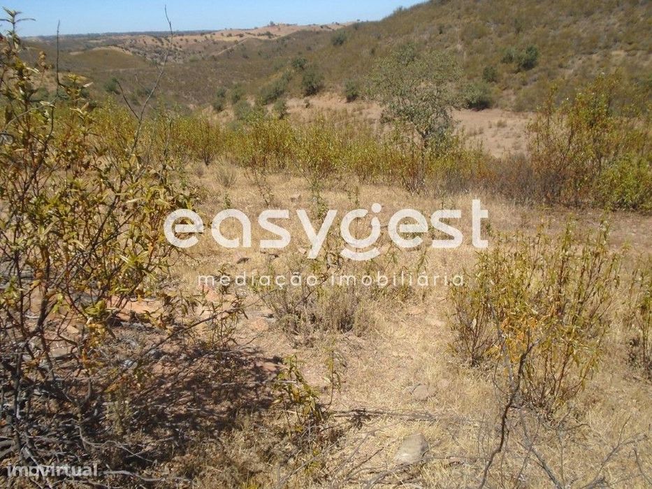 Terreno Rústico em Corte do Pinto