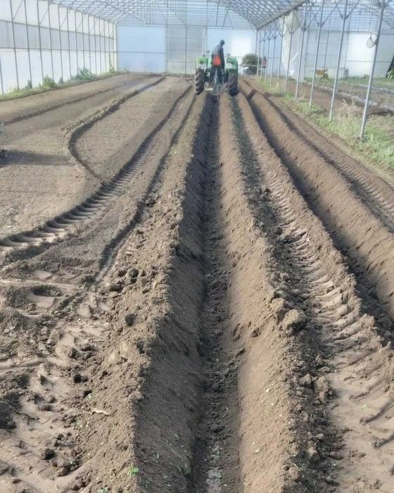 Estufa Agrícola Usada