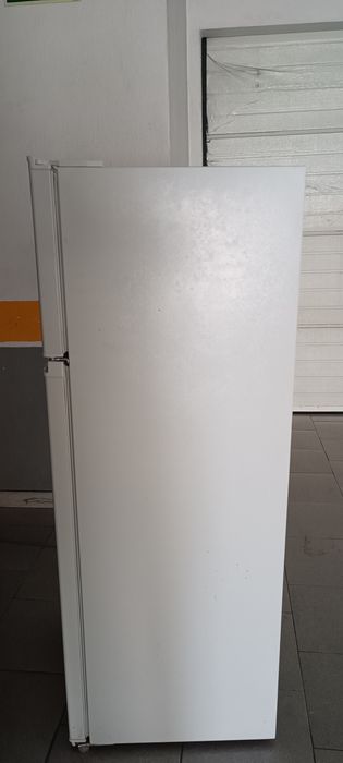 Frigorífico TELEPAC DPF 254 WL