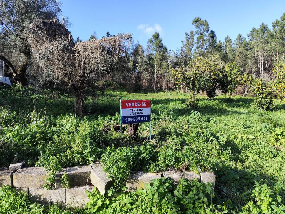 Terreno com 3700m2 na Rua do Marco, Feteira, Pombal