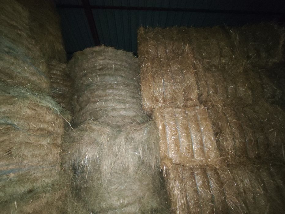 Fardos de palha e rolos de feno