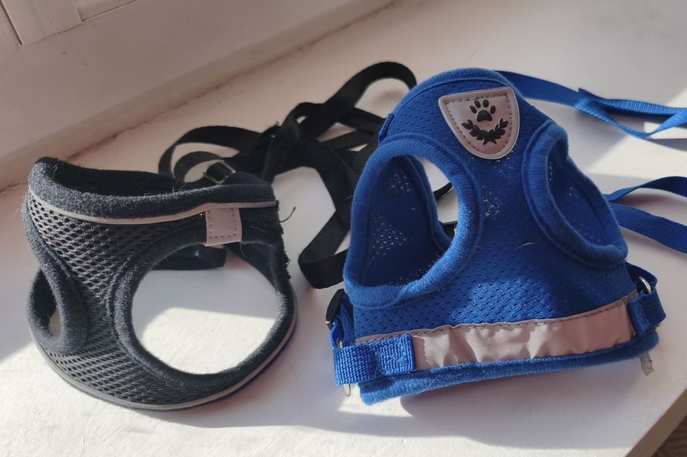 Шлейка для маленьких собак