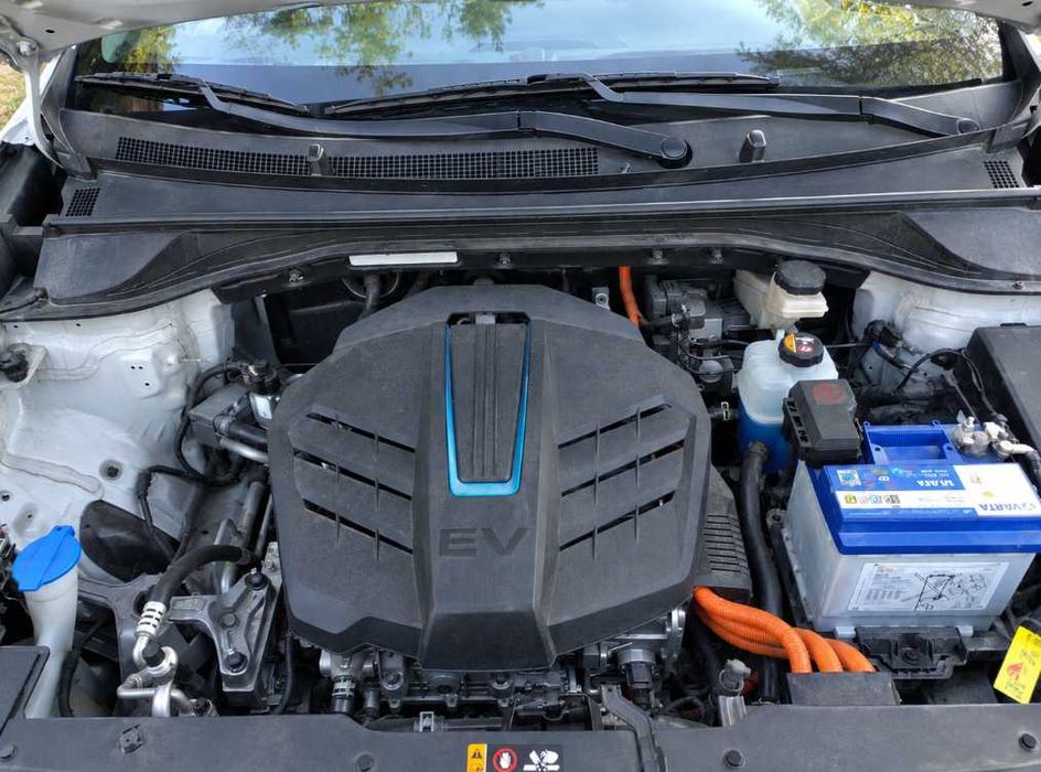 Kia Niro EV 2019, 64 кВт·год: батарея 100%, до 450 км, один власник в Україні