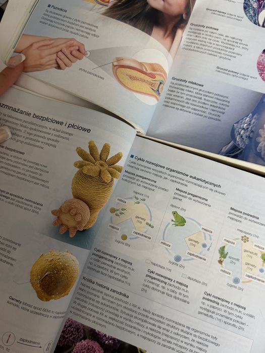 podreczniki biologia na czasie caly komplet