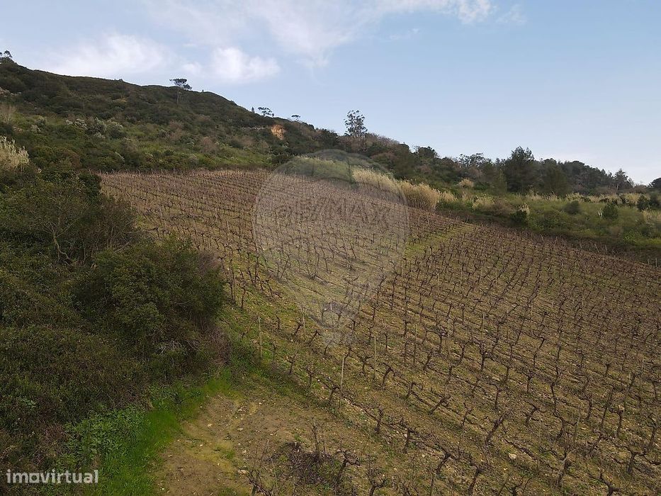 Terreno  para venda