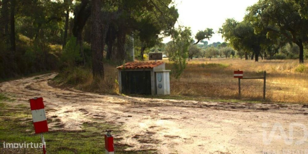 Terreno Agrícola em Galveias