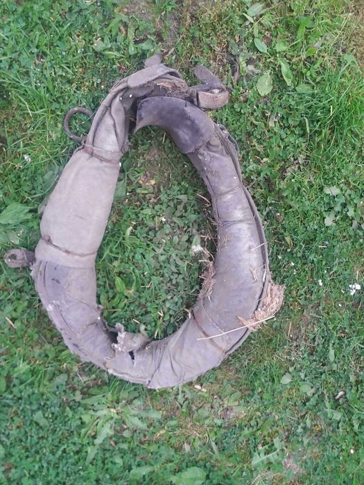 Stare homonta duze i małe homonto Sulechów • OLX.pl