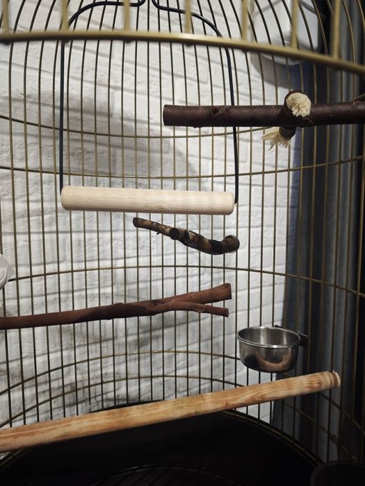 Клітка для папуги.