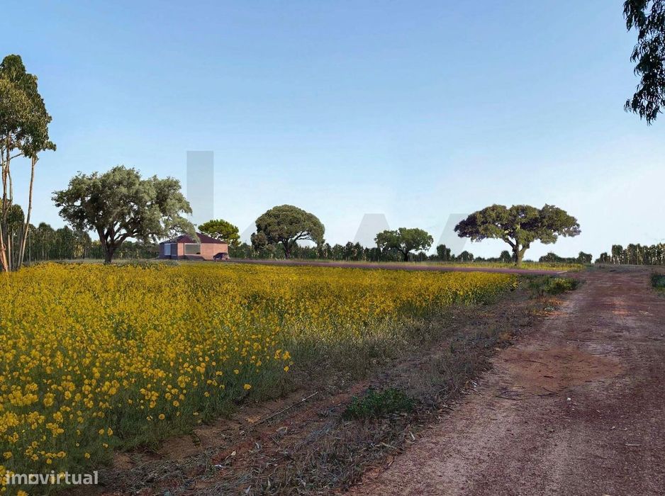Herdade com 54 Hectares na Serra de Odemira: Moradia com projeto em Ta