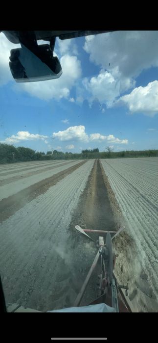 Sadzenie drzewek GPS borowka tyczenie rzędów międzyrzędzi Usługa