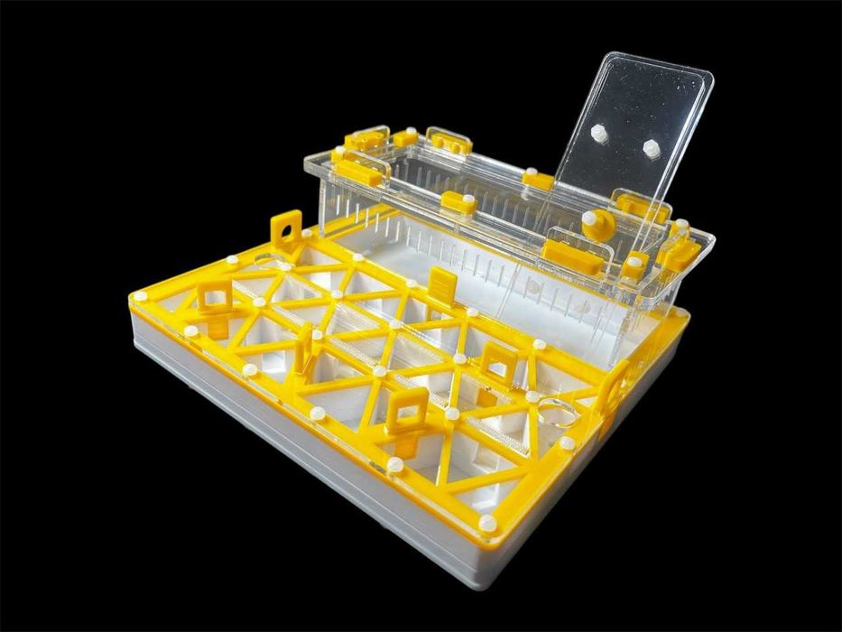 Профессиональная муравьиная ферма формикарий для муравьев в Украине