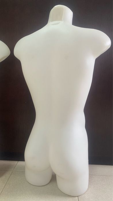 Busto masculino ou feminino