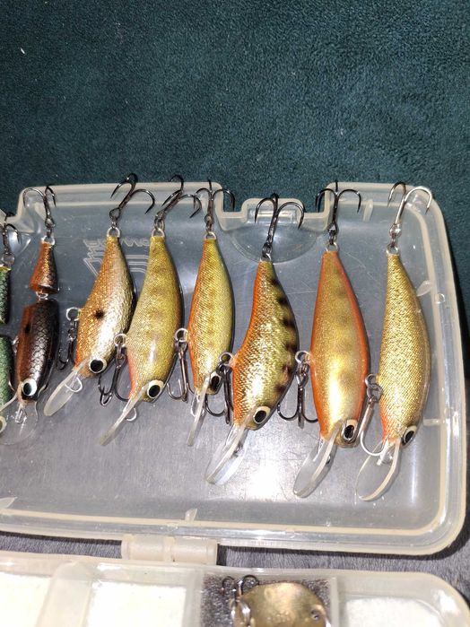 Woblery Pstrąg,Troć