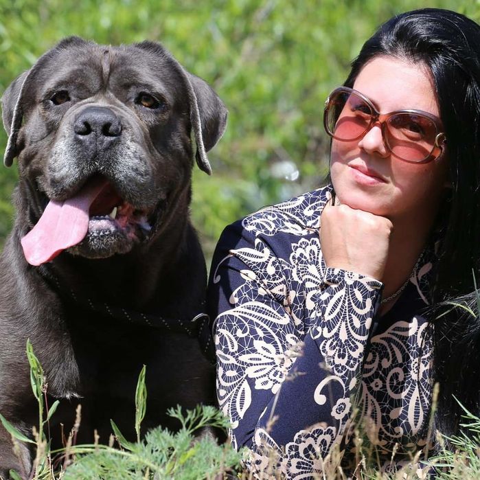 Гарний хлопець з досвідом