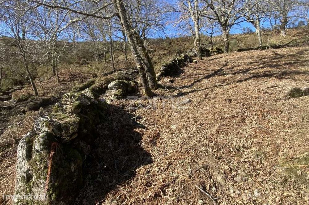 Terreno para venda em Linharelhos, Salto, Montalegre