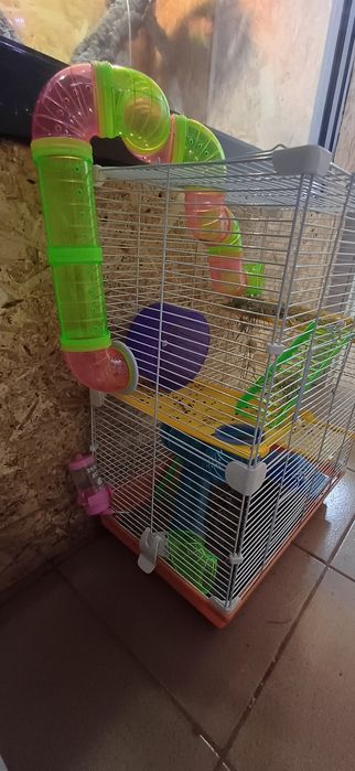 Gaiola para roedores