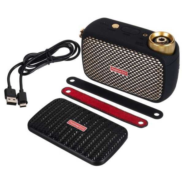 Positive Grid Spark Go