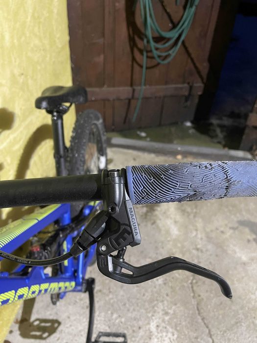 Dartmoor Blackbird Junior 2022