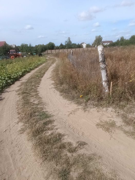 Земельна ділянка