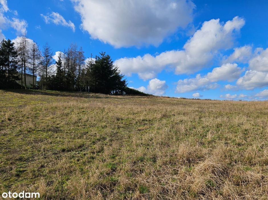Działka budowlana Murowana Goślina 894 m² z MPZP - Widok 3