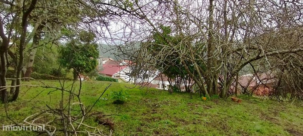 Terreno Urbano em Castelo Viegas