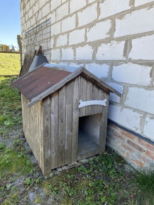 Buda dla dużego psa