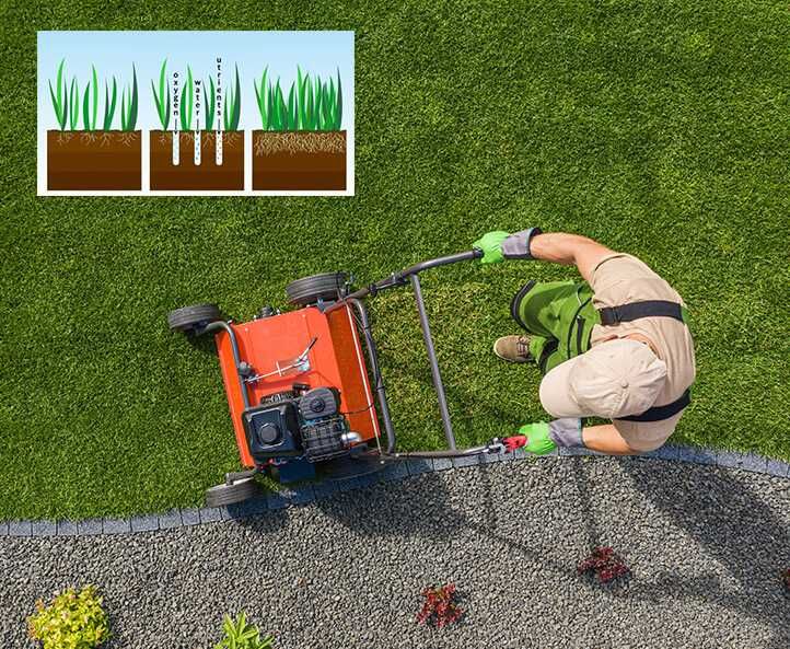 Pielęgnacja i zakładanie ogrodów