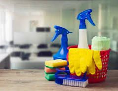 Помічниця по дому