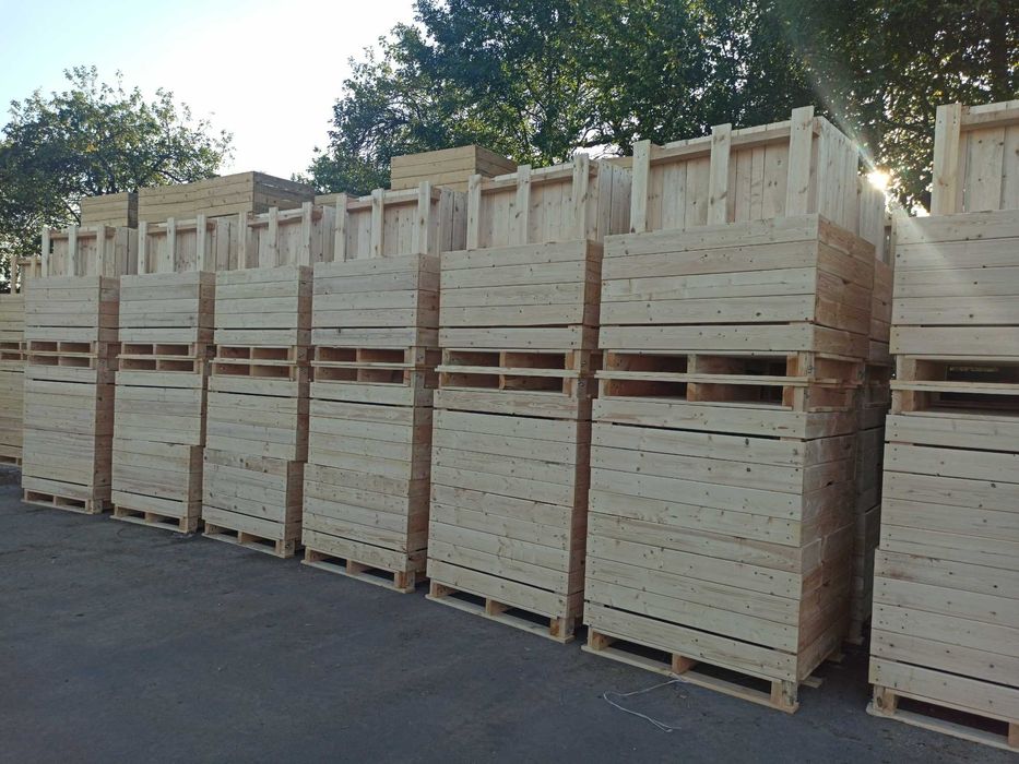 Skrzyniopalety na owoce ARiMR warzywa palety