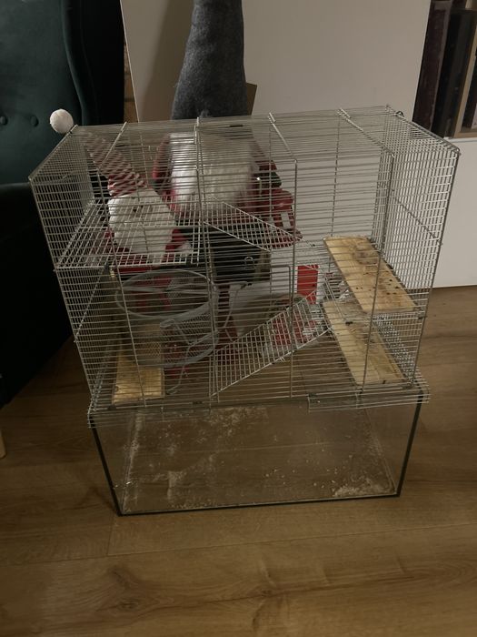 Klatka dla myszoskoczka , chomika