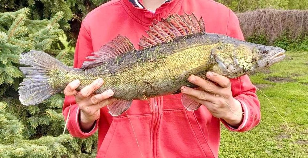 Świerkowe zacisze Świdry 25a Giżycko
