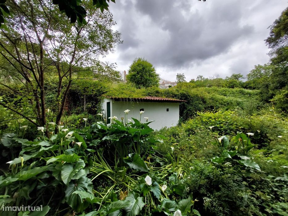 Terreno – Sever do Vouga