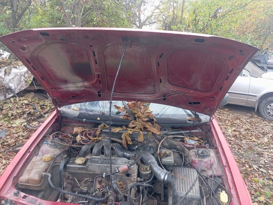 Капот Ford Escort / Форд Ескорт Mk5 (1991–1995 рр.)