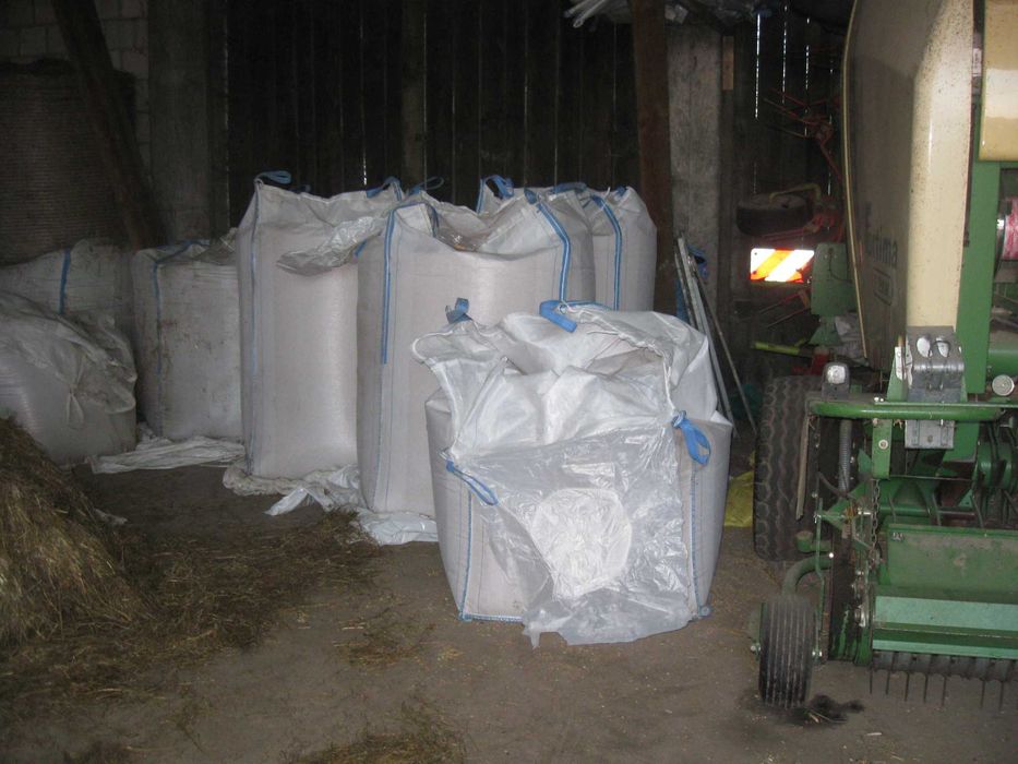 Kukurydza sucha ziarno, jęczmień ozimy